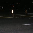 금봉대로 이미지