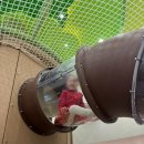 석촌근린공원 화장실 | 서울형키즈카페 잠실근린공원점<주차 총정리>하하호호놀이터