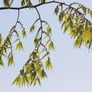 느티나무공방 이미지