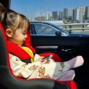 흥산목장 | [충북/증평] 청주 근교 놀이동산과 목장,루지,썰매장이 있어 아이랑 가볼만한곳으로 추천 "증평 벨포레"