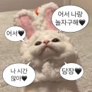 냥아 | 𝓐𝓹𝓻𝓲𝓵..*