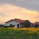 해당화마을펜션 이미지