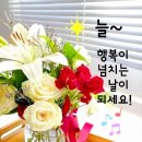 정(情) - 사랑과 이미지