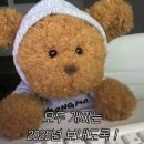 정수현헤어 | 2025 월간블로그 #1