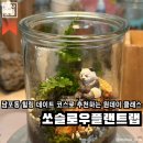 광복지하도상가 | 부산 중앙동 | 롯데백화점 광복점 근처 부산데파트 테라리움 원데이클래스 들을 수 있는 곳이에요 꿀팁...