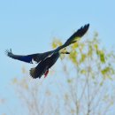 갯목 입구 이미지