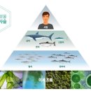 플로우케어 이미지