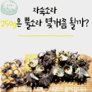 금능맛차롱 협동조합 | 제주 금능해수욕장 맛차롱 제주도 서쪽 가볼만한곳