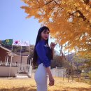 괴산군청천면지경보건진료소 | 단풍놀이 코디 충청도 단풍명소 당일치기 괴산은행나무 말티재단풍 온빛자연휴양림