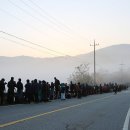 비밀의 정원 이미지