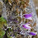 동강1박2일민박 이미지