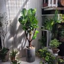 진영건축사사무소 이미지