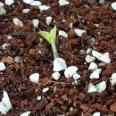 신가네농장 이미지