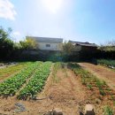 양덕동273 이미지