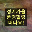 포토그래퍼에게 배우는 일상을 특별하게 만드는 사진 꿀팁 | 경기도 가을 여행 아름다운 풍경 감상하며 힐링