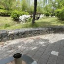 전농 빈대떡 이미지