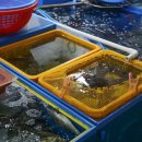 조은3호 이미지