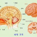 우리아이교육 네이버블로그