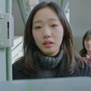 도깨비펫