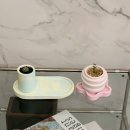 그림책 소품 공방 | 잠실원데이클래스 추천 '리브717' 희귀식물과 제스모나이트 화분까지 알찬 잠실공방 후기