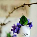 담방