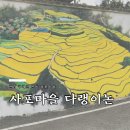 사포마을회관 이미지