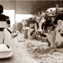 성배농장 이미지