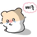 온기청과 이미지