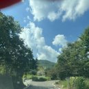 산청바이브 | 아리송로이와 함께하는 여름휴가 산청바이브에서!