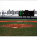 탄천종합운동장 탄천야구장 이미지