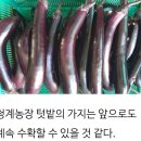 청계복지농장 이미지