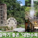 대한수목원