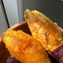생선쓰 이미지