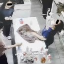 뿌리동물병원 이미지