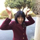 히로세 스즈 카카오 검색결과