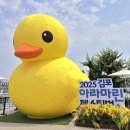 현대아라.수 이미지