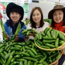 청계산로C 파이낸셜뉴스