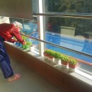 늘푸른실버케어센터 이미지