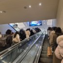 센트럴시티점, 햄버거 맛 없어 후렌치프라이, 감자튀김 먹으라는 솔직후기, 강남터미널 호남선(서울 서초)