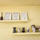 늘 예뿌개 이미지