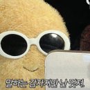 푸라닭 하계점 | [일상#1] 연고전(축구)｜테니스｜학술대회 발표｜일본인친구랑 놀기｜친구결혼식｜바쁘다바빠현대사회