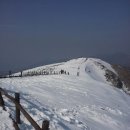 2015년 1월 첫 정기산행 설경이 눈부신곳 소백산 눈꽃의 향연으로 초대합니다. 이미지