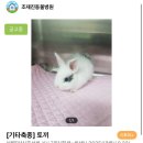 조재진 동물병원 이미지