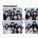 한낮의 꿈 이미지