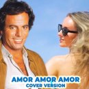 Amor Amor Amor(Julio Iglesias) 이미지