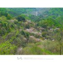 산골여행 이미지