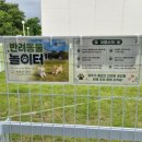 ​속초 신상 카페 밸스 아이와 가기 좋은 애견동반카페 글램핑 펜션 다 있는 곳 찐 후기