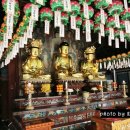 진주 청곡사 목조석가여래삼존좌상 이미지