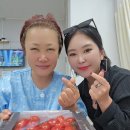 공주경희한방병원 네이버블로그