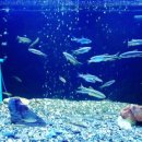 운문민박 이미지